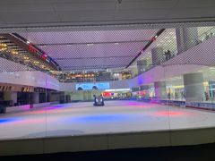 -TheRink大零溜冰场(IFS国金中心店)