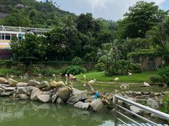 -石排湾郊野公园