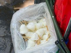 -罗布林卡