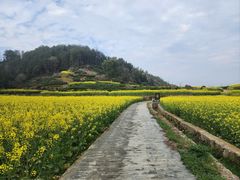 -新安江山水画廊风景区