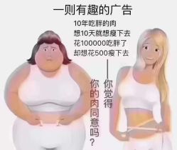 -香薇妮丝·定制减肥·身材管理