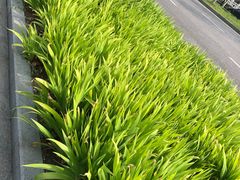 -Tiffany & Co.蒂芙尼
(南京德基广场店)