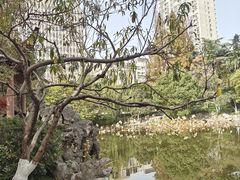 -郑和公园