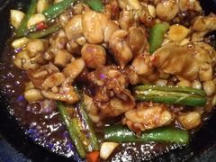 石锅酱爆牛蛙-茉莉餐厅(包河万达店)