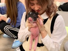 -浣熊柯尔鸭土拨鼠·电玩咖