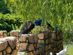 -J Create城市露营咖啡·简餐·宠物(上海动物园店)