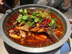-新渝城·川菜·火锅(区庄店)