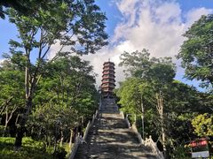 -红花山公园