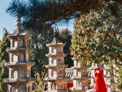 -泰山风景名胜区-普照寺