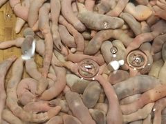 -龙宴海鲜城(经中路店)