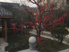 -郑州银基黄帝宫御温泉