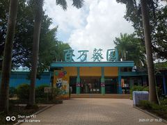 -百万葵园