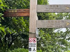 -杭州半山国家森林公园