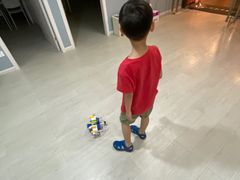 -乐博乐博少儿编程·机器人编程·信息学竞赛(杨浦五角场校区)