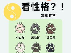 -翊宠yipet猫狗购宠庄园