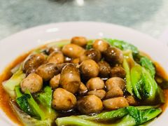 鲜菇扒时蔬-北园酒家(小北路店)