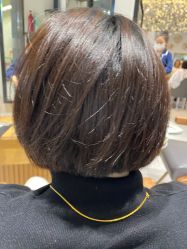 -京世沙龙