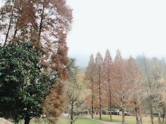 -四川省成都市彭州市白鹿镇