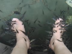 -水底山庄园温泉