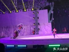-灵玲国际马戏城