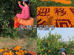 -丹江大观苑