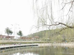 -北岭山森林公园