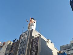 -道顿堀水上观光船(太左衛門橋船着場)
