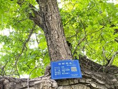 -鲁土司衙门旧址