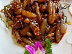 葱爆海参-老克勒上海菜(南京路步行街店)