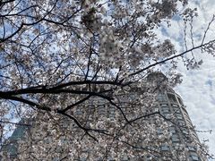 -中国银行(上海市新闸路支行)