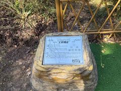 -自然谷恐龙园