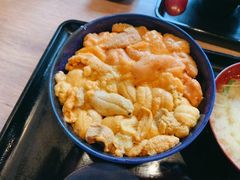 海胆盖饭-札幌二条市场 大矶(本店)