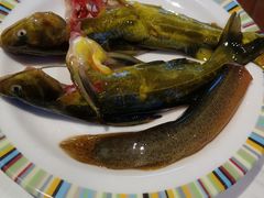 -吉布鲁牛排海鲜自助(船山大都会店)