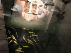 -觀芷隐轩