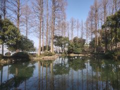 -浙江西子宾馆·瑶园咖啡厅