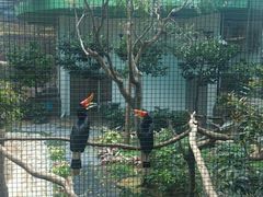 -九龙公园