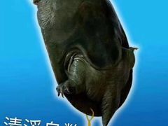 -韩国料理大力士(屏风街店)