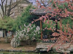 -三里河公园