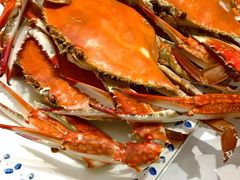 -北塘海鲜·天津菜·鲅鱼水饺是一绝(大光明桥旗舰店)