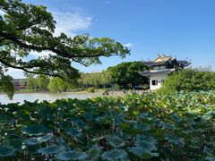 -江心屿景区