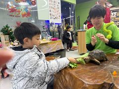 -上海大自然野生昆虫馆(东方明珠·爬宠昆虫探索中心)