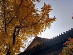 -晋祠公园