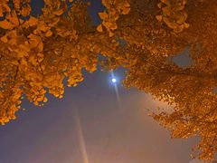 -北京市海淀区民政局婚姻登记处