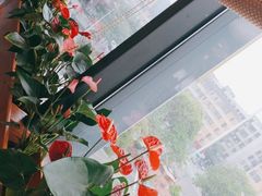 -粤点越有·茶点·粤菜(樵岭国际店)