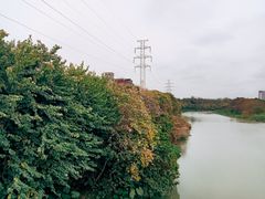 -广东花都湖国家湿地公园
