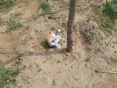 -处女泉风景名胜区