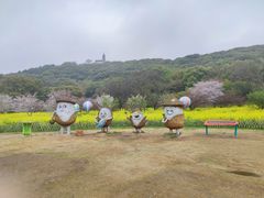 -苏州上方山国家森林公园
