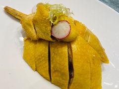 特色白斩鸡-望乡楼上海菜(日月光店)