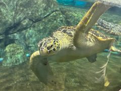 -福州罗源湾海洋世界旅游区