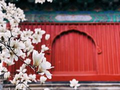 -北京艺术博物馆(万寿寺)